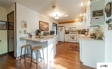 319 Williamette Ave, Lincoln, IL 62656 - photo 7