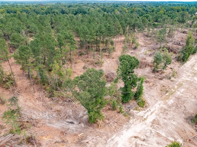 1.01 Mol Ac Old Hwy 24 Parcel 15, Mc Lain, MS 39456 - photo 2