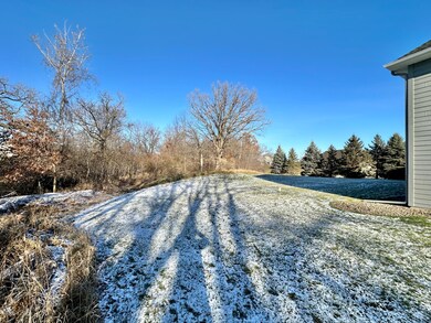 As you can see this yard is super private and rural feeling and yet walking distance to schools.