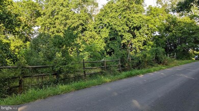 0 Twymans Mill Rd unit VAMA2000686, Orange, VA 22960 - photo 6