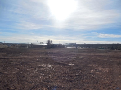 6382 Heather Ln, Summerset, SD 57718 - photo 2