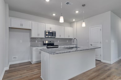 164 Bolsin Ct, Conway, SC 29526 - photo 4