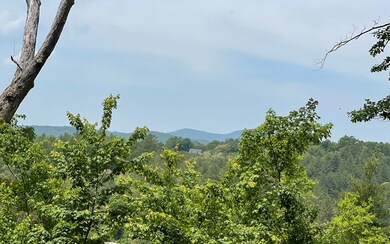 Additional View