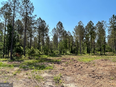 0 Springhaven Rd unit LOT 18 10589731, Dexter, GA 31019 - photo 4