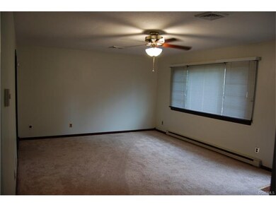 NEW Fresh Carpet in the Living Room