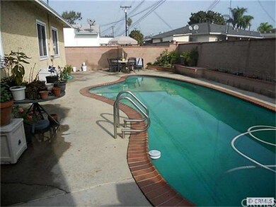 Back Yard Pool