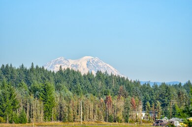 168 Racyn Ln, Winlock, WA 98596 - photo 5