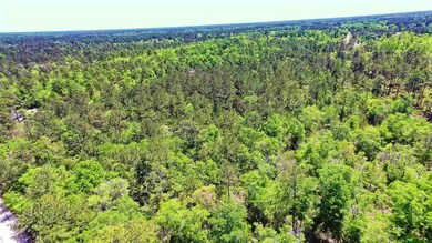 0 Bostic Pelt Rd unit 292682, Crawfordville, FL 32327 - photo 2