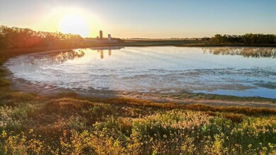 43353 258th St, Bridgewater, SD 57319 - photo 5