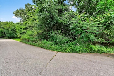 0 Karlson Ln unit LOT E,F,G 25039543, Milton Township, MI 49120 - photo 5