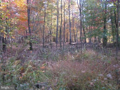 0 Spring Gap Rd unit 1004622236, Slanesville, WV 25444 - photo 5