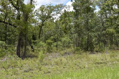 TBD Red Oak Rd unit Lot 193, Perry, FL 32348 - photo 7