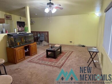211 N Elm St, Carlsbad, NM 88220 - photo 2