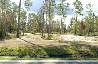 314 Honey Branch Ln, St. Augustine, FL 32092 - photo 7