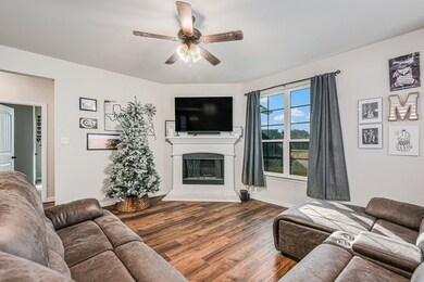 1035 Northern Oaks Ct, Springtown, TX 76082 - photo 5