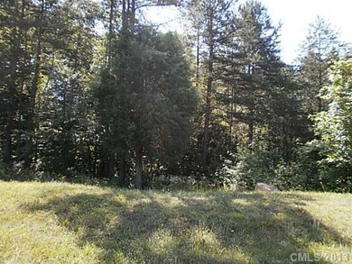 Lot 10 River Birch Dr, Iron Station, NC 28080 - photo 2