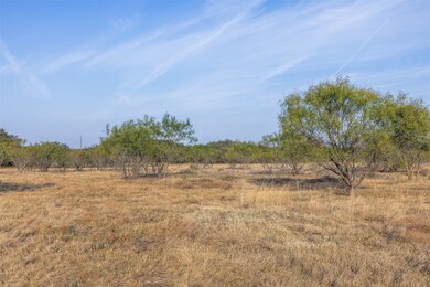 Tract 3 TBD Cr 424, Rochelle, TX 76872 - photo 2