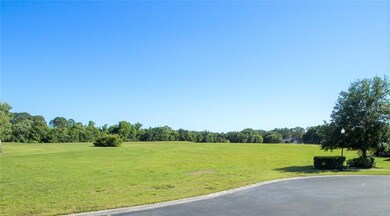 34050 Triple Crown Ct, Dade City, FL 33525 - photo 2