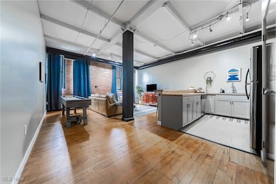 Apartment 92 Water Street unit 305, Cleveland, OH 44113 - photo 6