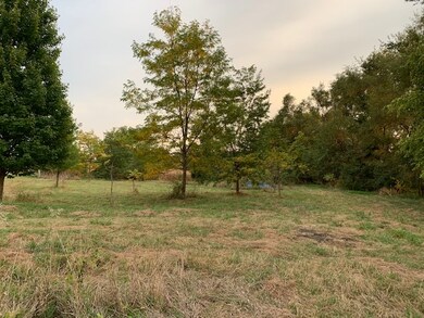 11666 Backbone Rd, Wyanet, IL 61379 - photo 2