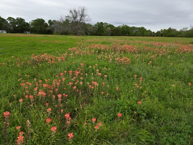 0 County Road 700 unit 67268539, Brazoria, TX 77422 - photo 5