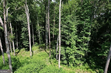 300 Speight Rd, Temple, GA 30179 - photo 4