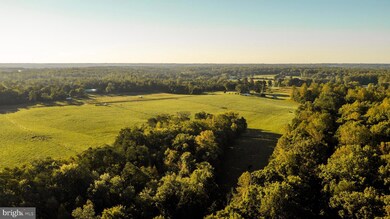 3553 Bibb Store Rd, Louisa, VA 23093 - photo 3