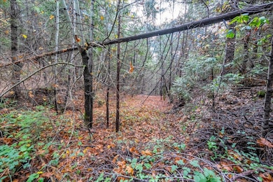 0 Kentucky Flat Rd unit 225140786, Georgetown, CA 95634 - photo 7