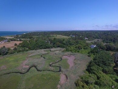 Aerial Marsh