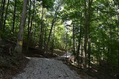 Cannon Hollow Rd unit LotWP001, Bronston, KY 42518 - photo 3