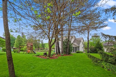 Amazing back yard with tall pines, mature trees, a