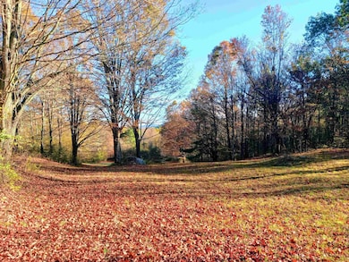 1096 Betts Bridge Rd, West Pawlet, VT 05775 - photo 5