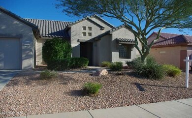 Beautiful shade tree in front