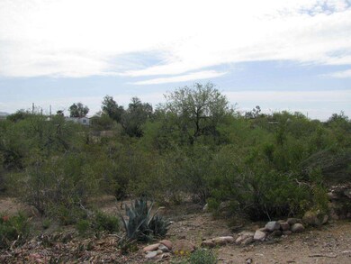 Desert Vegatation