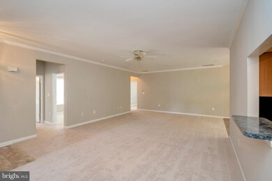 6910 Winthrop Ct, Fredericksburg, VA 22407 - photo 6