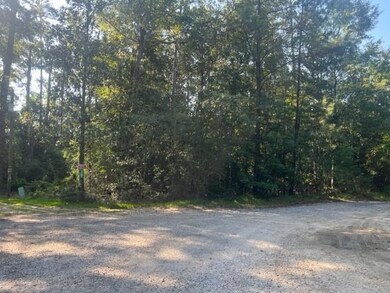 13.37 Acres Boyd Rd, Covington, LA 70435 - photo 5