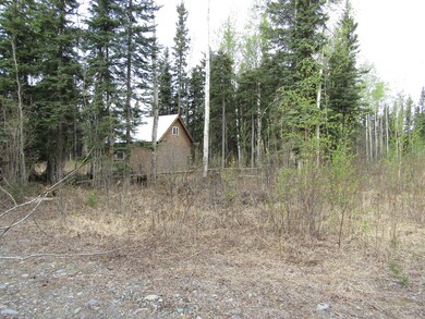 TR C-3 Tanana Loop Ext 003