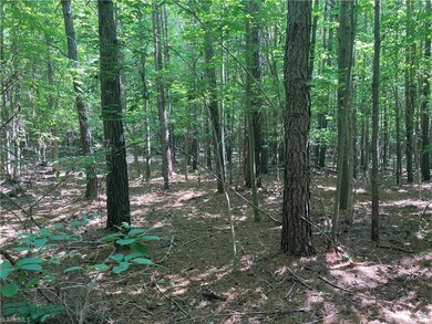 0 Nc Highway 134 N unit 1079012, Star, NC 27375 - photo 5