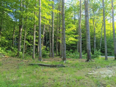 70 Newman Drew Rd, Ossipee, NH 03890 - photo 7