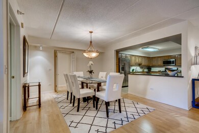 William Place unit 203, River Forest, IL 60305 - photo 7