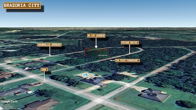 0 Pecan Dr unit Brazoria TX 77422, Brazoria, TX 77422 - photo 2