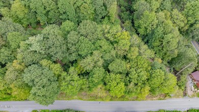 Tbd Azen Rd, Damascus, VA 24236 - photo 5