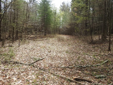 730 Clayton Rd, Sheffield, MA 01222 - photo 3