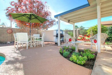 035 Backyard 3