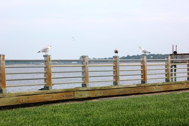 IMG_1116