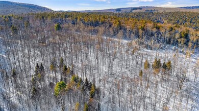 0, Otselic, NY 13815 - photo 7