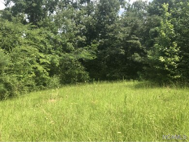 8346 Cedar Mountain Rd, Pinson, AL 35126 - photo 5