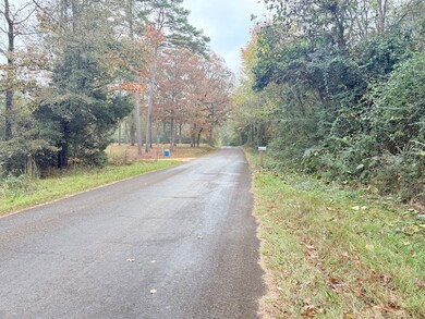 Tbd Union Church Rd unit LotWP001, Magnolia, MS 39652 - photo 3