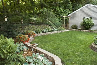 BACKYARD1