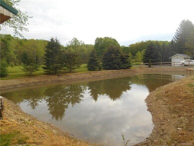 Pond will soon be full and ready to swim in or fis